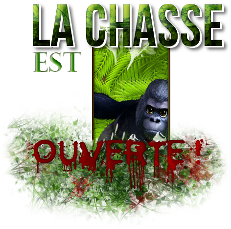 La chasse est ouverte !